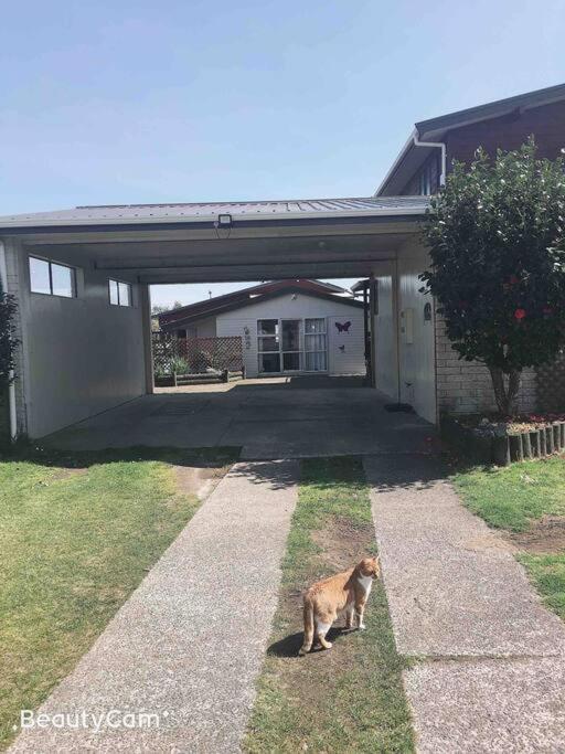 Budget Short Rotorua Ngoại thất bức ảnh